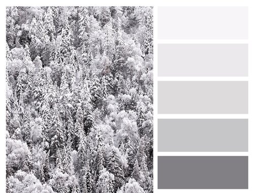 IS GREY THE NEW MAGNOLIA? 2 FullSizeRender